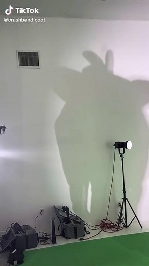 Crash Bandicoot on TikTok