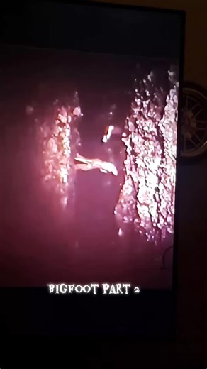 Exploring Bigfoot: Uncovering Sasquatch Mysteries