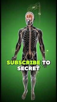 What Happens After Just One Drink? 🍺 The Truth About Alcohol