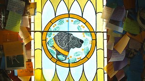 It's a sanctuary where dog owners can celebrate man's best friend. Whether for a vacation or a final goodbye, Dog Mountain is a place for dogs and their families to spend some time together. | Great Big Story