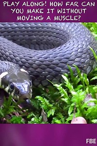 87K views · 113 reactions | This video has the kids jumping out of their seats!  Listen to their reactions to this try not to move challenge! | REACT | Facebook