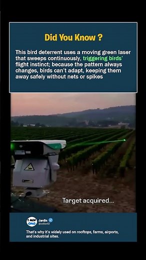 This Laser System Keeps Birds Away Without Hurting Them