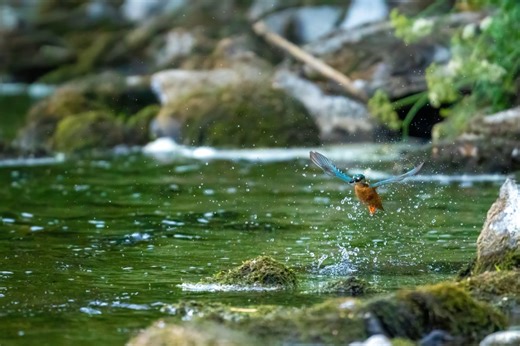 Evesham Angling Festival 2026: What You Need to Know About this Summer’s Fishing Bonanza