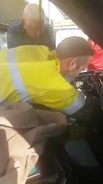 We watched this massive python slithering down towards woolies - 1004238