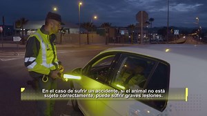 299K views · 2.6K reactions |  En #ControlDeFronteras nos hemos...