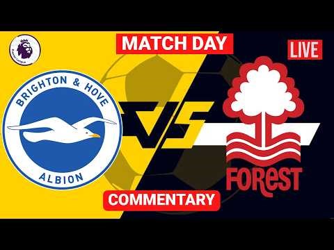 Nottingham Forest vs Brighton Live Stream English Premier League EPL Live Match Score Commentary