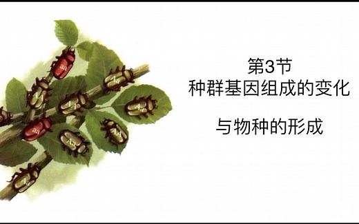 6.3种群基因组成的变化与物种的形成