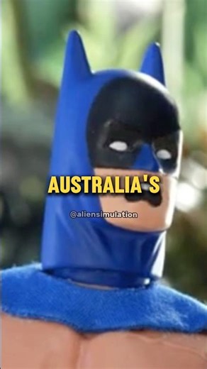 Batman In Australia Be Like - Robot Chicken Short Edit