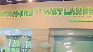 Charley's World | Great Explorations Children's Museum