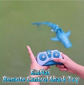 Watch Remote Control Shark Toy on Amazon Live