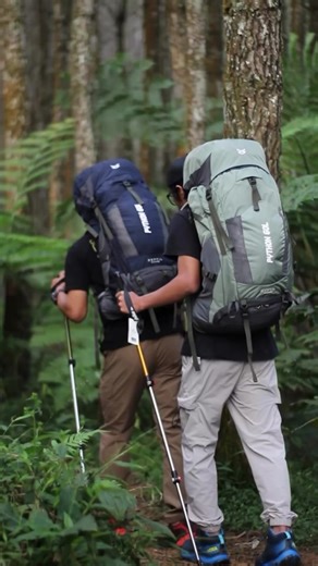 Restock Tas Carrier Reptil Adventure 60L Phyton