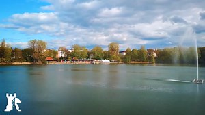 Why order, responsibility, and directness are central to German thinking