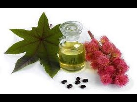 Castor Oil | Cure and Benefits