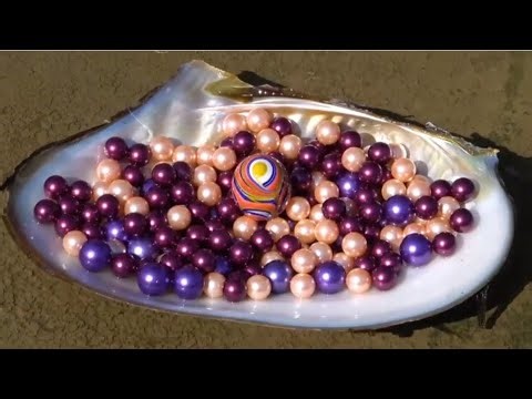 A stunning shell filled with purple and peach pearls🐚💜✨ and a colorful magic pearl shining bright🌈💎🌊