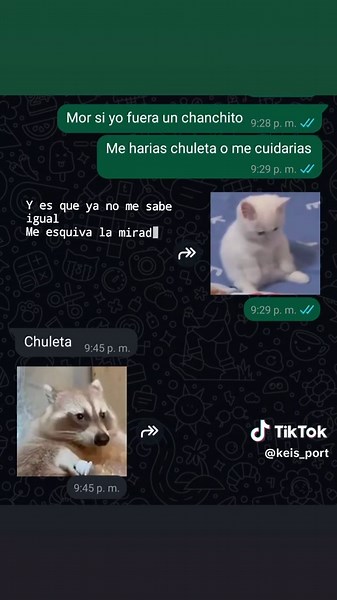 Si yo fuera un chanchito: preguntas divertidas