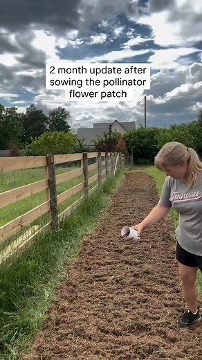 For Gardeners, By Gardeners Our mission is to provide exceptional varieties of high-quality seed at great prices, detailed sowing and growing information to help the home gardener be successful, and strive to provide the best customer service in the industry. | Botanical Interests