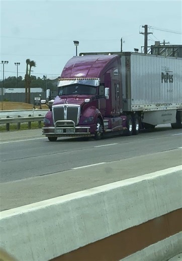 #traileros #trailerosmexicanos🇲🇽💯😎 #trailerosdecorazon #traileros_de_la_57 #traileroscachimberos #amosdela57🛣🚛🚛🚛🚛💊💊🚬😎saludos