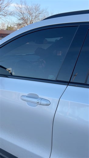 this is brilliant | Emily C