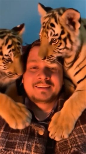 Tiger cubs playing with me🐅Tiger growling sounds🐅#youtubeshorts #shortvideo #shortsviral #foryou