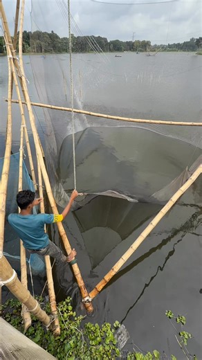 Traditional Village Fishing. | Native Fishing