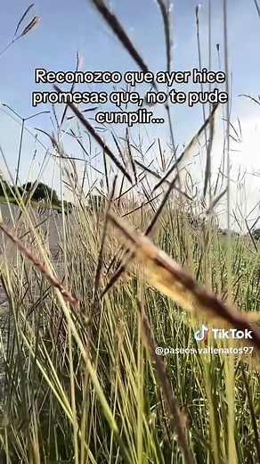 Que Te Perdone Dios: Vallenato Completo y Reflexiones