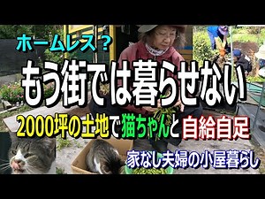 Can't live in the city anymore?! [Unemployed, homeless couple living in a hut] No noise, no troub...