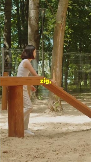 What are the best DIY dog agility training tips for beginners