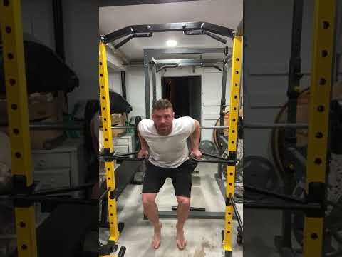 Dip Variations Form Beginner To Expert