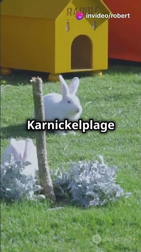 Was ist die Fibonacci-Folge? Einfach erklärt!