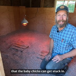 24K views · 597 reactions | Raising Meat Chickens: How We Make Space For Them (Day One) | Homesteading Family | Facebook