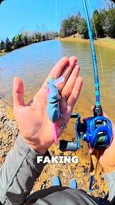 Does The Rat Lure ACTUALLY Catch Fish?!🐀🎣🤥 I finally had the chance to fish with the famous Rat Lure. I didnt think it would work but the results really surprised me…👀 #RatLure #Fishing #Funny #Flopper #Freshwater #Bass #Pond #Baits | GG Anglers