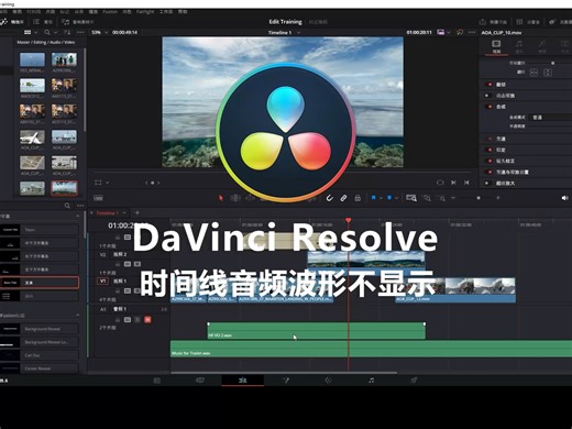达芬奇音频波形不显示怎么解决？