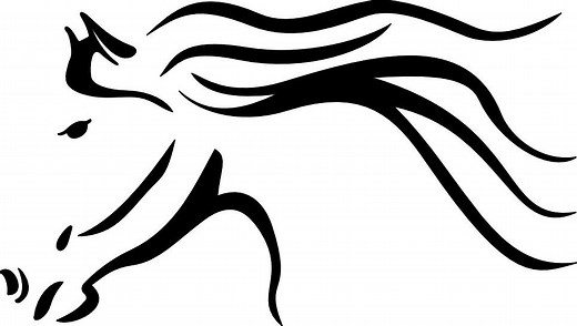 Custom gooseneck horse floats