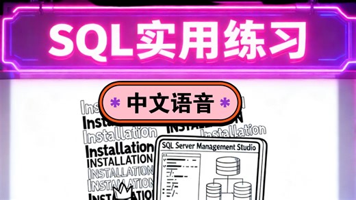 SQL 实用练习（中文语音）