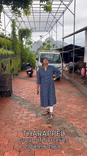 13K views · 1.5K reactions | Jadevine Red Book your plant @9489554968 #tharappelnursery #plants #plantsmakepeoplehappy #plantsofinstagram #gardening #plantsonline #plantsonline #plantlover #plantsplantsplants #plantseller #floweringplant #wayanad #jadevinered #jadevine | Tharappel Nursery | Facebook