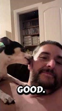 Why Dogs Lick You — The Real Meaning Behind This Behavior | AlphaDogAcademy