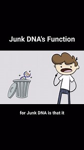 706 reactions · 167 shares | The latest “Long Story Short’ video has dropped on our YouTube channel and here’s a short snippet from it! Check out the full video on our channel or at the link in our bio. What do you think, is JUNK DNA junk or is it actually not junk at all? . . . . . . . . #intelligentdesign #scienceiscool #sciencestudent #apologetics #biologystudent #philosophystudent #sciencememes | Center for Science & Culture | Facebook