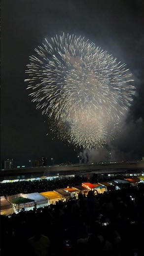 なにわ淀川花火大会2025 Naniwa Yodogawa Fireworks Festival Ι 大阪 Oaska Japan Hanabi