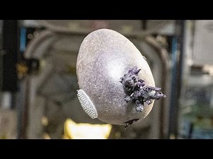 Astronaut Spots Purple Tentacled Alien on the ISS?! Shock Footage