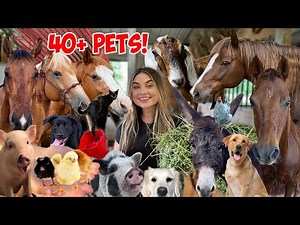 SUMMER MORNING ROUTINE with 40+ PETS! *CUTE ANIMALS*