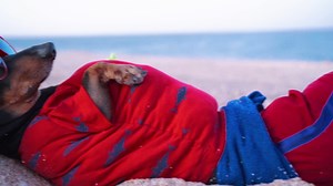 9K views · 152 shares | Unlimited Data එක්ක full chill එකේ ඉන්න අදම Hutch cliQ App එක Download කර ගන්න. 3G & 4G සඳහා දැන් රු.25 සිට Internet Plans. Hutch දැන් දැවැන්තයි සමීපයි! වැඩි විස්තර සඳහා මෙම Link එක Click කරන්න > https://bit.ly/2IL6xze | Hutch Sri Lanka | Facebook