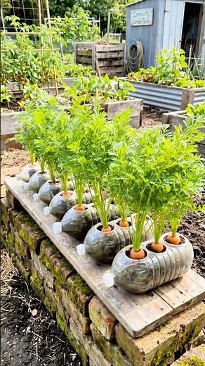 Small Space Garden Ideas with Plastic Bottles | DIY Vertical Garden at Home 🌿
