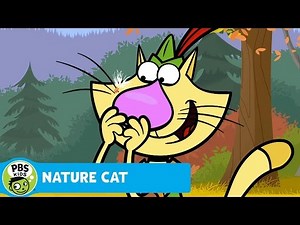 NATURE CAT | The Flying Seed | PBS KIDS