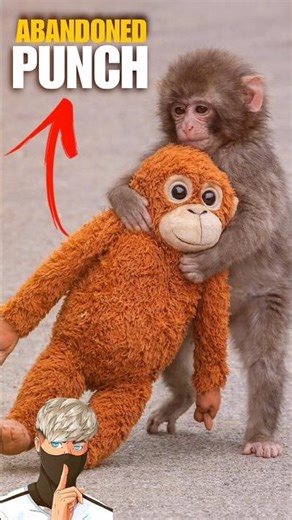 Viral Monkey #facts #trendingshorts #viralmonkey