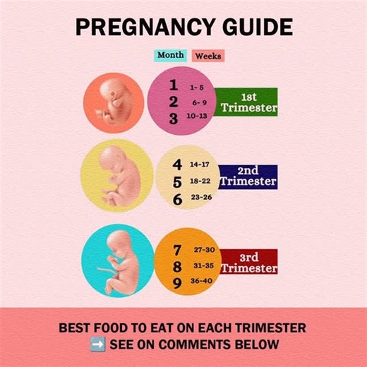 🥗 BEST FOOD TO EAT ON EACH TRIMESTER Each stage of pregnancy has special nutrition needs. 🌸 Eating the right foods helps baby grow strong and healthy. ➡️ See the recommended foods for each trimester in the comments below⬇️ 🌱 1st Trimester (Weeks 1–12) 🥦 Leafy greens (folate for baby’s brain & spine) 🥚 Eggs (protein & choline) 🍊 Citrus fruits (Vitamin C for immunity) 🌸 2nd Trimester (Weeks 13–26) 🐟 Salmon (Omega-3 for brain development) 🥛 Dairy (calcium for strong bones & teeth) 🍓 Berri