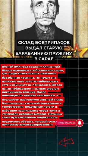 "СКЛАД БОЕПРИПАСОВ ВЫДАЛ СТАРУЮ БАРАБАННУЮ ПРУЖИНУ В САРАЕ"