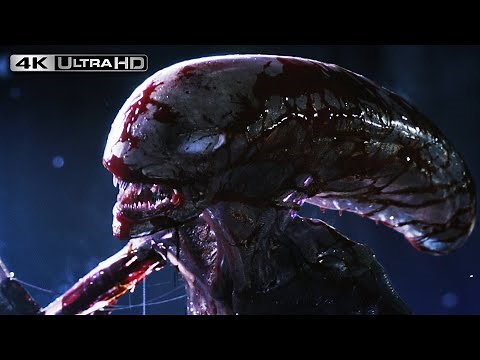 Alien: Covenant 4K HDR | Xenomorph