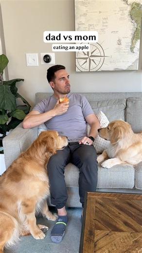 Emma’s little nod at the end… it’s impossible to say no 🥺 #goldenretrieverlife #dog #momvsdad #smile #bffs | Ellie Golden Life