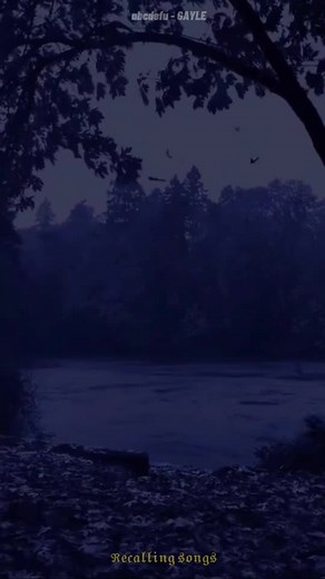 Cuentas recomendadas