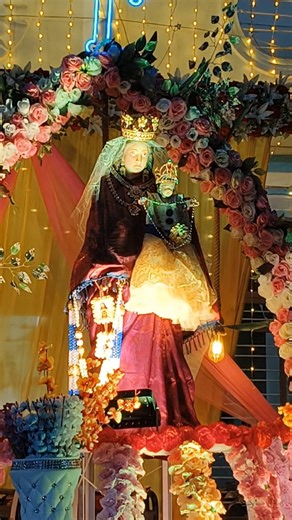 14K views · 1.1K reactions | Shrine of Our Lady of Mount Carmel, Elayankanni. | Mercy TV | Facebook